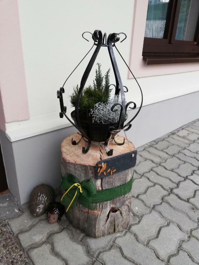 Appartement Schmaranzer à Bad Ischl Extérieur photo