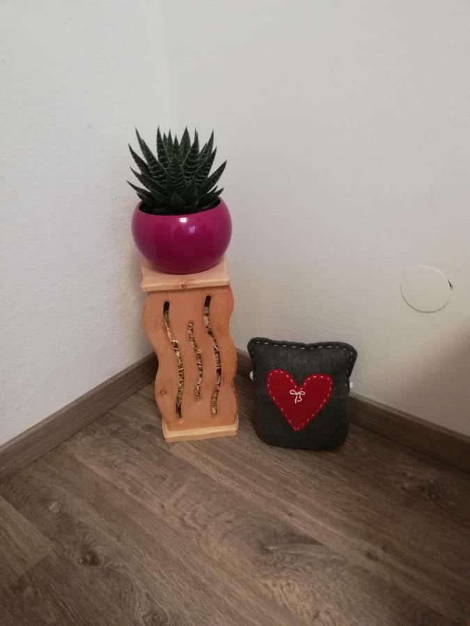 Appartement Schmaranzer à Bad Ischl Extérieur photo