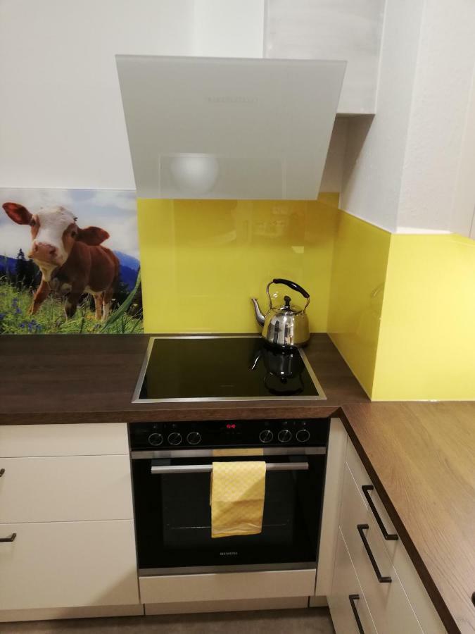 Appartement Schmaranzer à Bad Ischl Extérieur photo